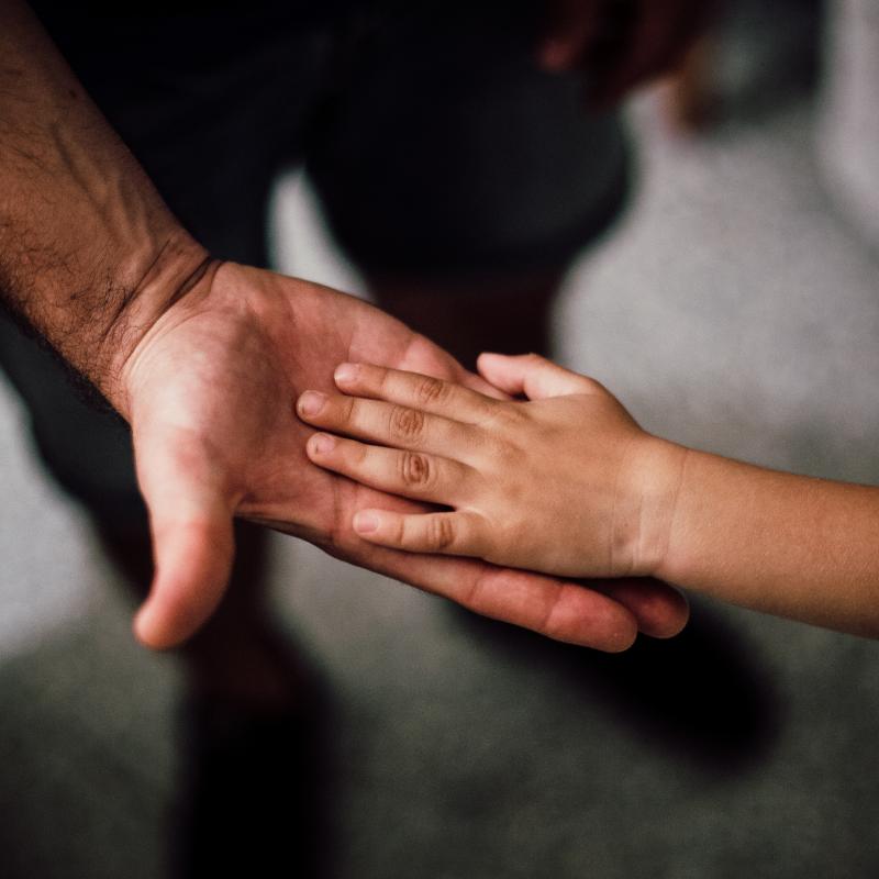 a child's hand gently touching the open palm of an adult's hand